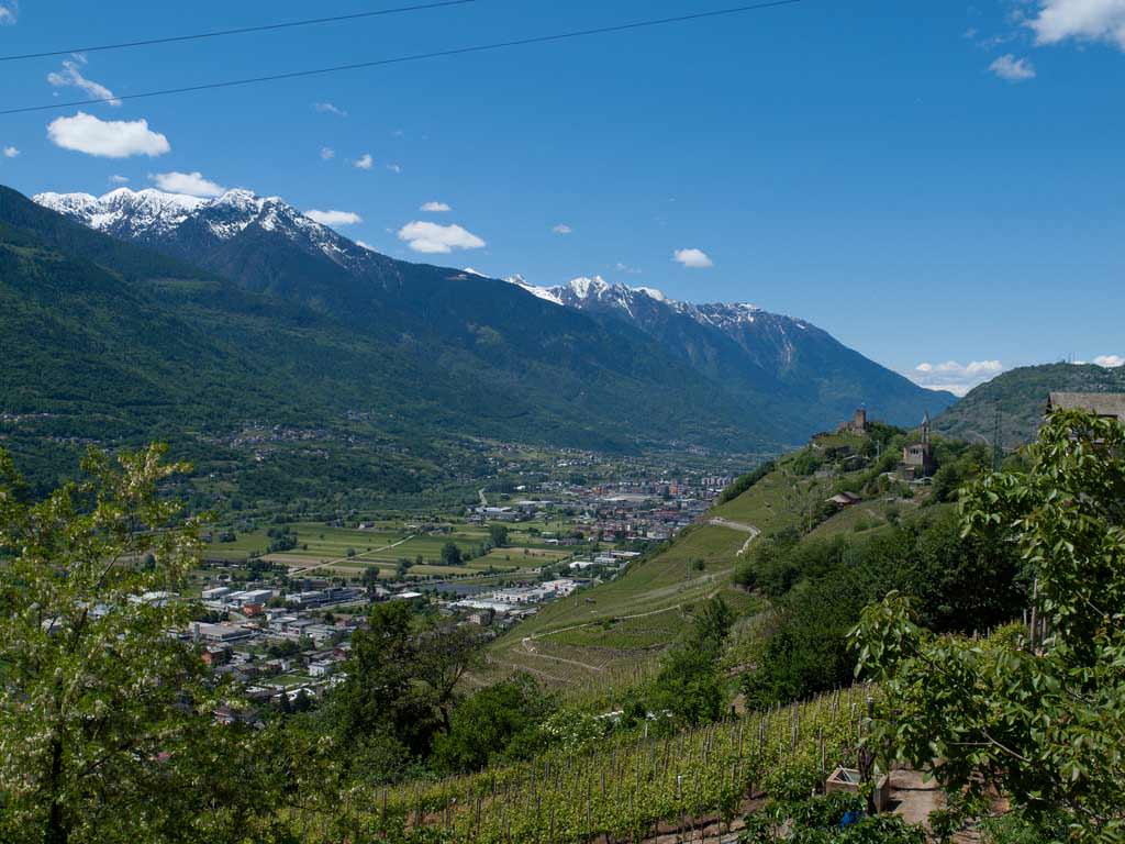 VIA DEI TERRAZZAMENTI VALTELLINA - Trento 2018