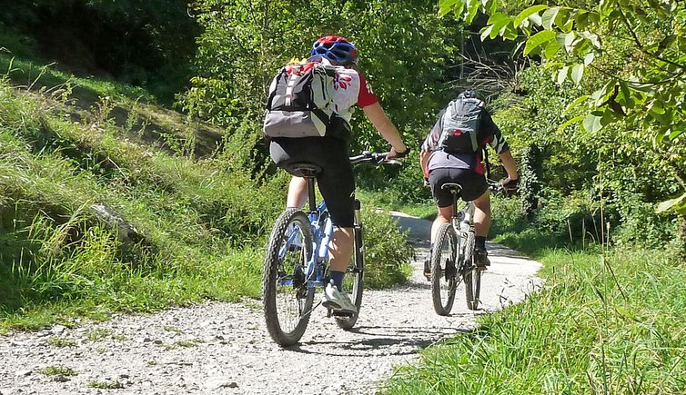 biciclette trento